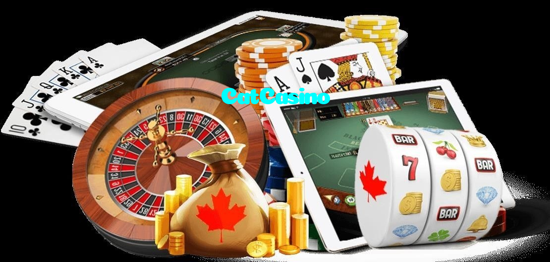 available types of CatCasino bet including pre-match live express and system bets