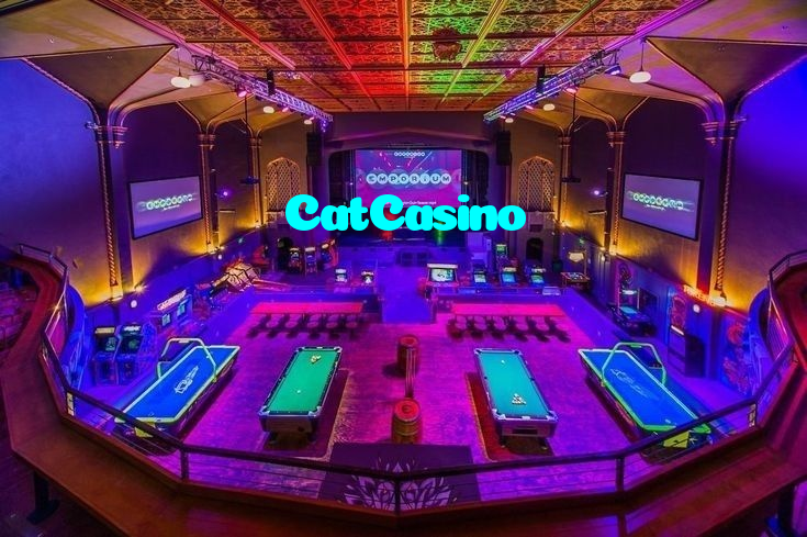 CatCasino