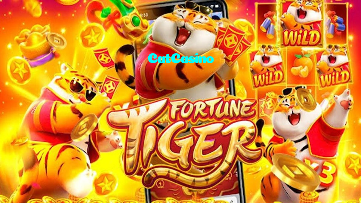 CatCasino casino presented on mobile device in Pakistan with slots and live games