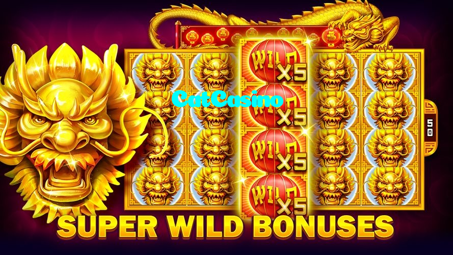 CatCasino casino presented on mobile device in Pakistan with slots and live games